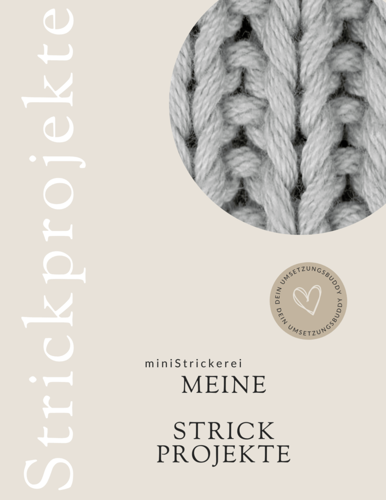 Cover Meine Strick- Projekte