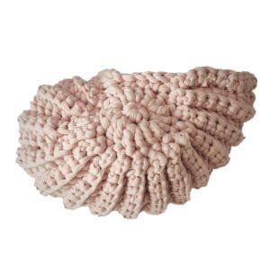 dekorative  Muschel, interior Muschel